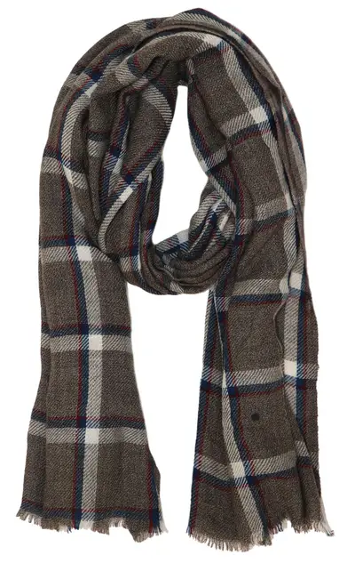 1950199 1.jpg